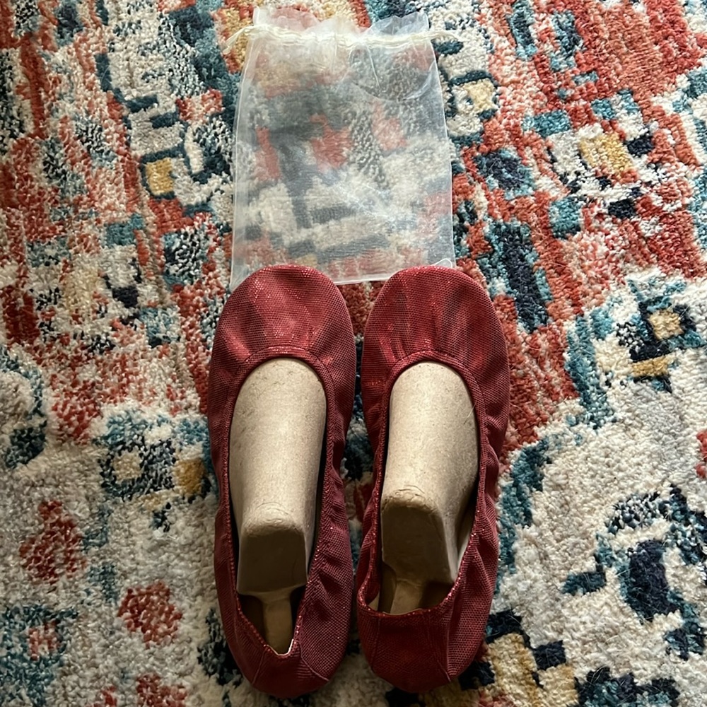 The Storehouse Flats Red Suede (cranberry foil?) flats includes bag(New) Sz 10.